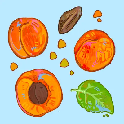 peach i.PNG